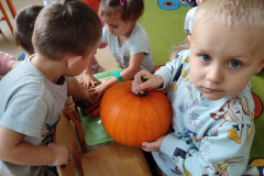 IMG_20241007_091054