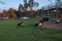 IMG_20241011_180022