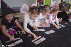 IMG_20241129_091708