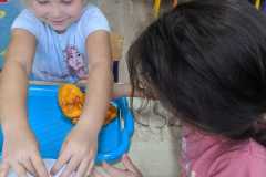 IMG-20241030-WA0008