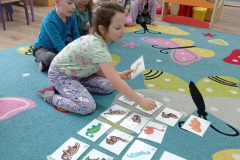 IMG_20250226_094930