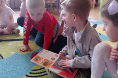 IMG_20241112_123658