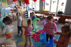 IMG_20231122_090853