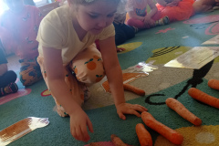 IMG_20250404_123708