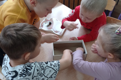 IMG_20241125_095050