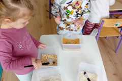 IMG-20240314-WA0004