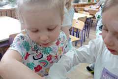 IMG_20240403_094018