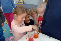 IMG_20241022_102808