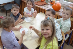IMG_20241113_091539