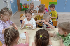 IMG_20241113_091646