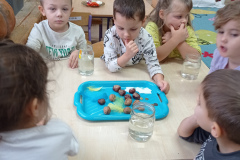 IMG_20241113_092654
