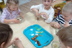 IMG_20241113_093148