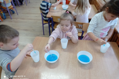 IMG_20240202_091230