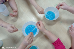 IMG_20240202_091325