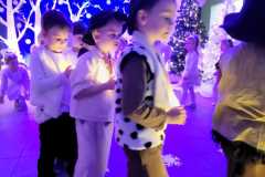 IMG-20241218-WA0033