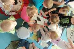 IMG-20250522-WA0005