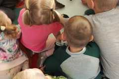 IMG-20250522-WA0006