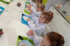 IMG_20241122_093702