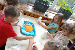 IMG_20240926_101639
