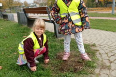 IMG_20241028_122112