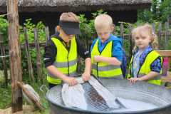 IMG-20250602-WA0011