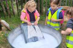 IMG-20250602-WA0014