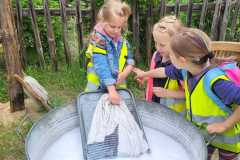 IMG-20250602-WA0016
