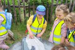 IMG-20250602-WA0017