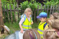 IMG-20250602-WA0018
