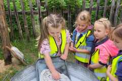 IMG-20250602-WA0020
