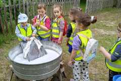 IMG-20250603-WA0008