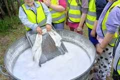 IMG-20250603-WA0009