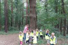 IMG-20230923-WA0003