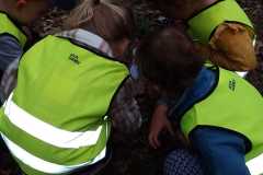 IMG-20230923-WA0006
