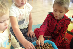 IMG_20230922_091709