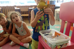 IMG_20240906_093336
