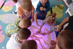 IMG_20231103_124608