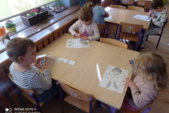 IMG_20240329_092726
