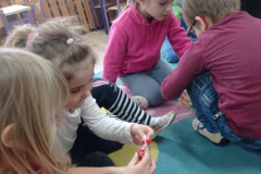 IMG_20250123_103011