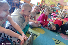 IMG_20250306_093115