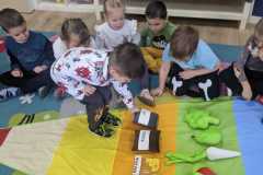IMG-20241127-WA0002