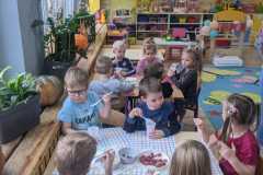 IMG-20241127-WA0011