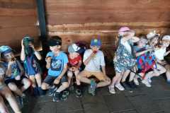 IMG-20250618-WA0016