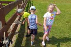 IMG-20250618-WA0029