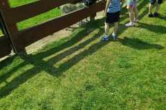 IMG-20250618-WA0030