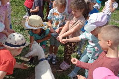 IMG_20240605_094123