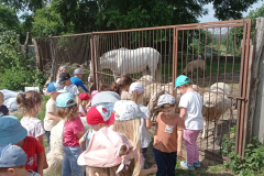 IMG_20240605_105632
