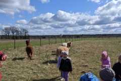 IMG-20250401-WA0021