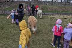IMG-20250401-WA0032
