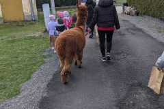 IMG-20250401-WA0035